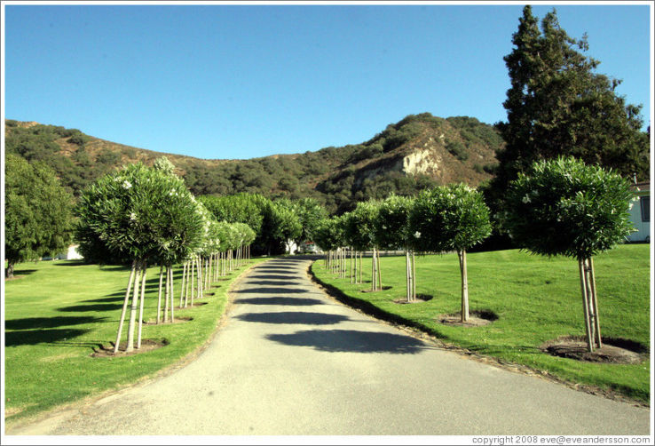 Rancho Sisquoc Winery Trip Packages