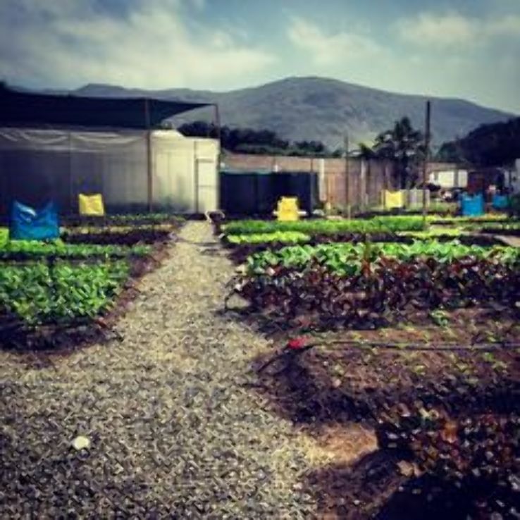 Rancho Sisquoc Winery Trip Packages