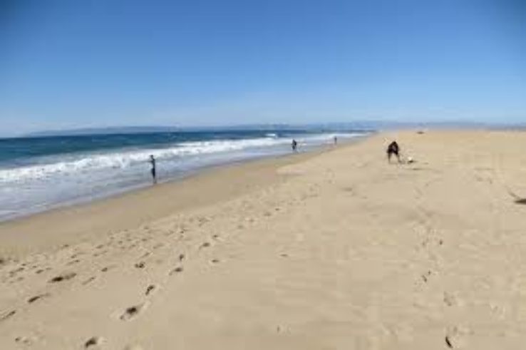 Rancho Guadalupe Dunes Preserve Trip Packages