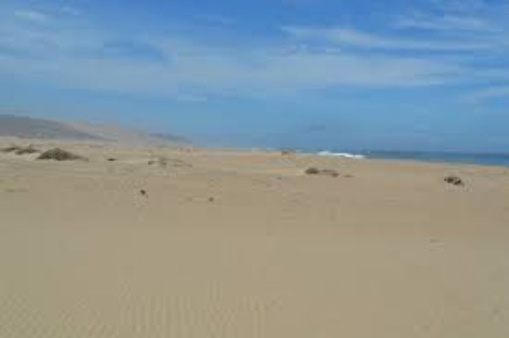 Rancho Guadalupe Dunes Preserve Trip Packages