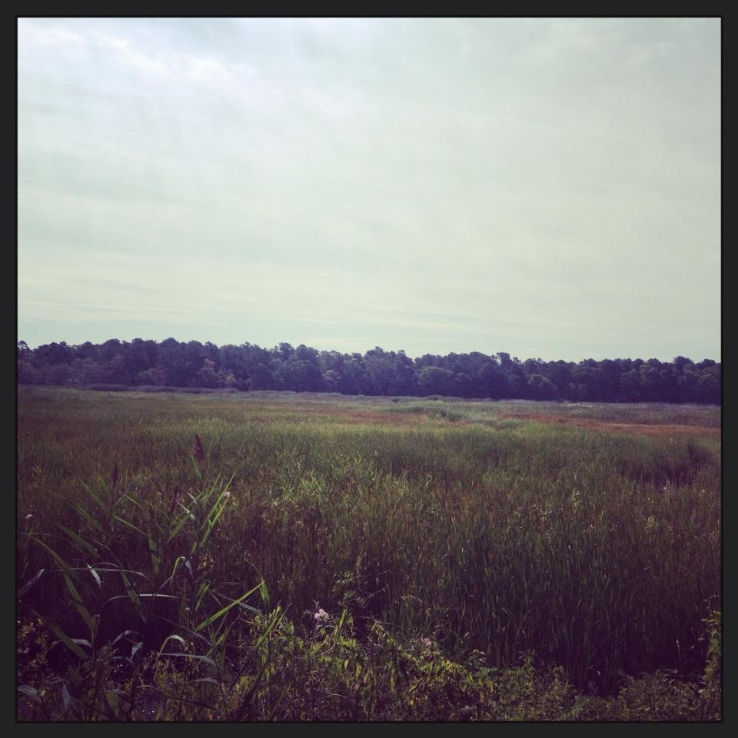 Wertheim National Wildlife Refuge Trip Packages