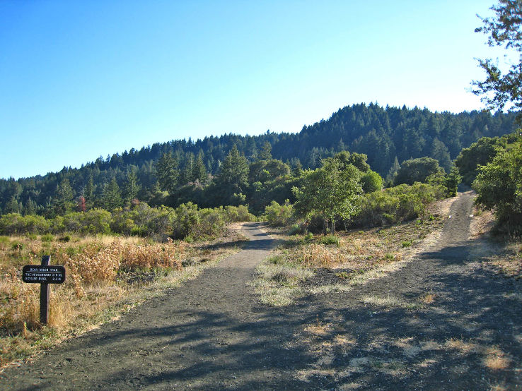 Wunderlich Park  Trip Packages