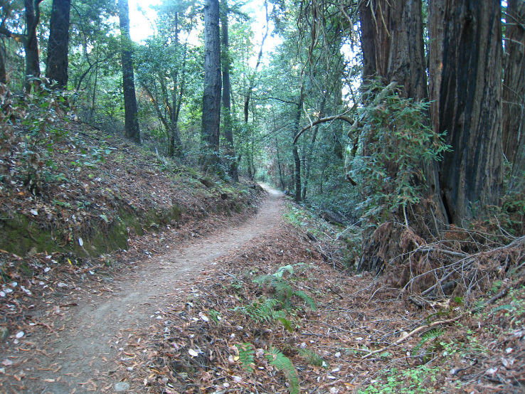 Wunderlich Park  Trip Packages