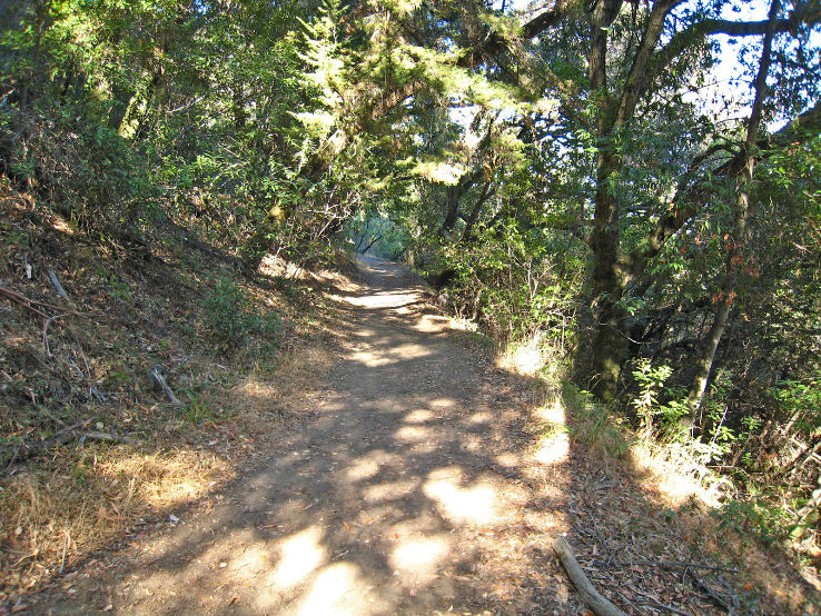 Wunderlich Park  Trip Packages