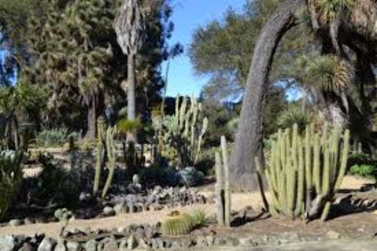 Arizona Cactus Garden  Trip Packages