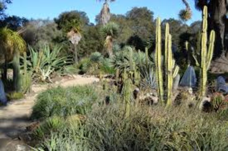 Arizona Cactus Garden  Trip Packages