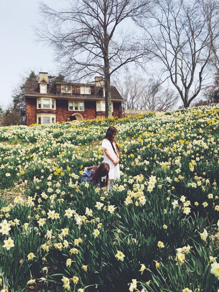 Reeves-Reed Arboretum Trip Packages