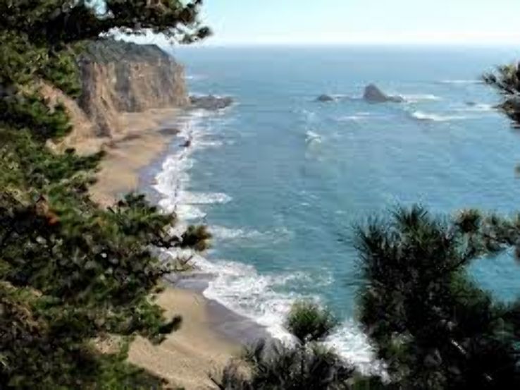 Greyhound Rock Beach Trip Packages