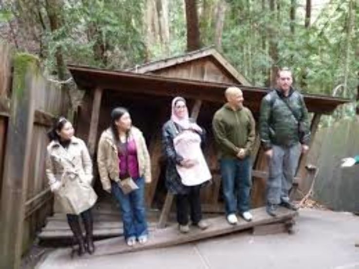 the Mystery Spot Trip Packages