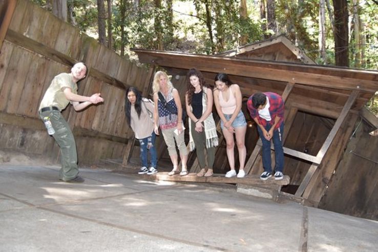 the Mystery Spot Trip Packages