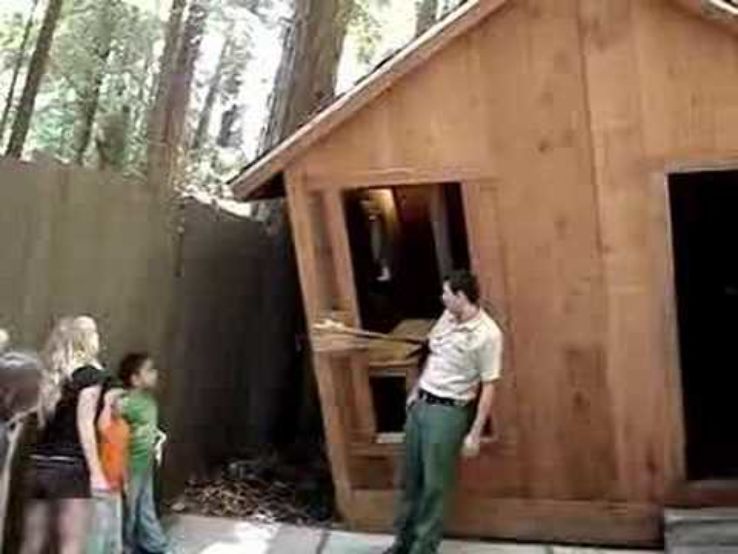 the Mystery Spot Trip Packages