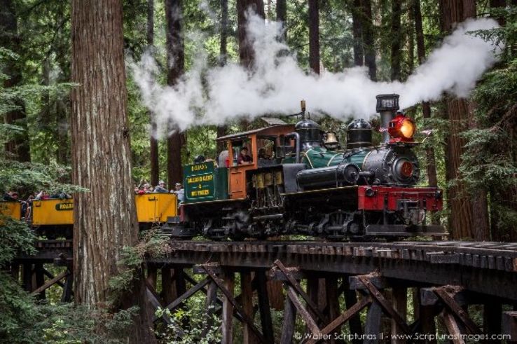 Roaring Camp Trip Packages