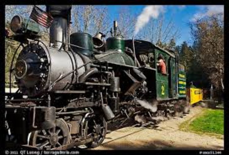 Roaring Camp Trip Packages