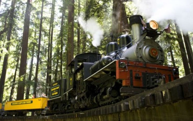 Roaring Camp Trip Packages