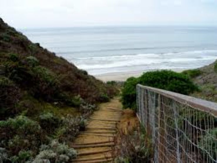 Sunset State Beach Trip Packages