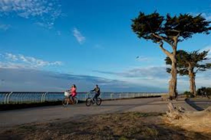 Walk or cycle West Cliff Drive Trip Packages