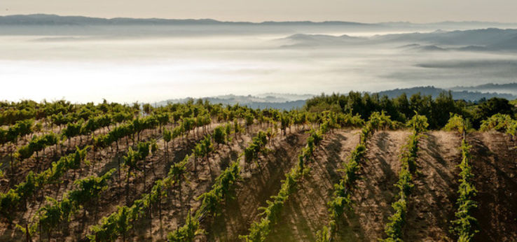 Enjoy wine tasting Trip Packages