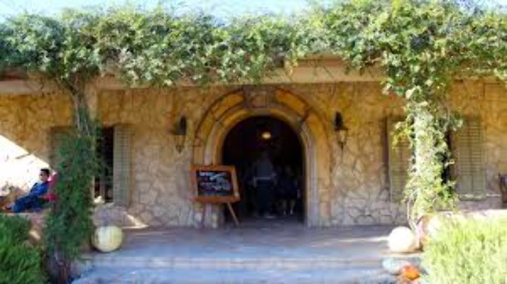 Enjoy wine tasting Trip Packages