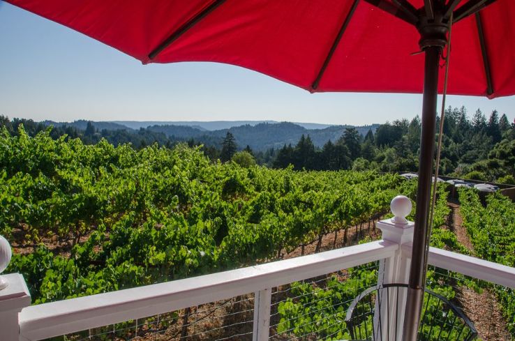 Enjoy wine tasting Trip Packages