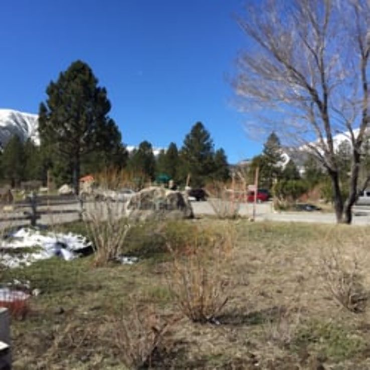 Rest in the shade of Mammoth Creek Park Trip Packages