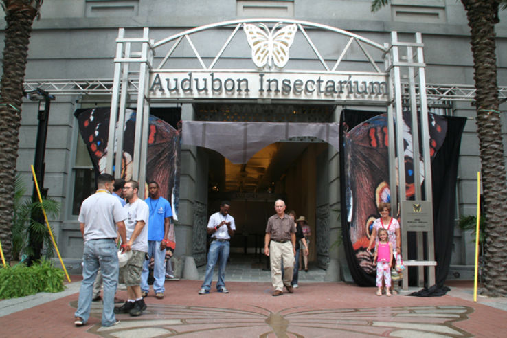 Audubon Butterfly Garden and Insectarium Trip Packages