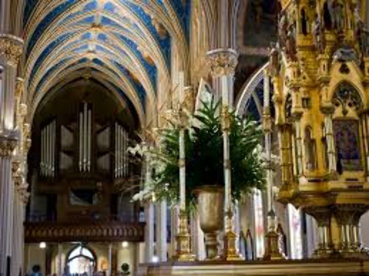 Basilica of the Sacred Heart Trip Packages