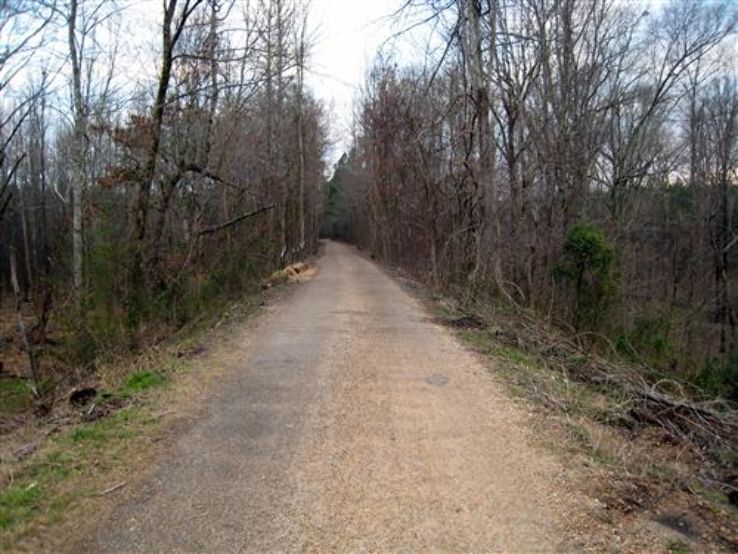 Thacker Mountain Rail-Trail Trip Packages