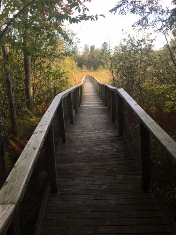 Gales Pond County Park Trip Packages