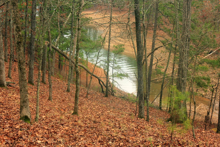 Red Top Mountain State Park  Trip Packages