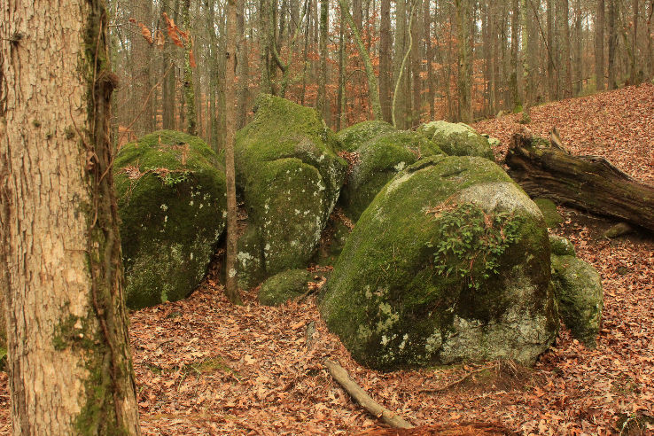 Red Top Mountain State Park  Trip Packages