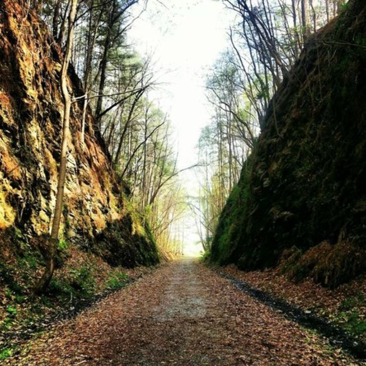 Allatoona Pass Battlefield Trip Packages