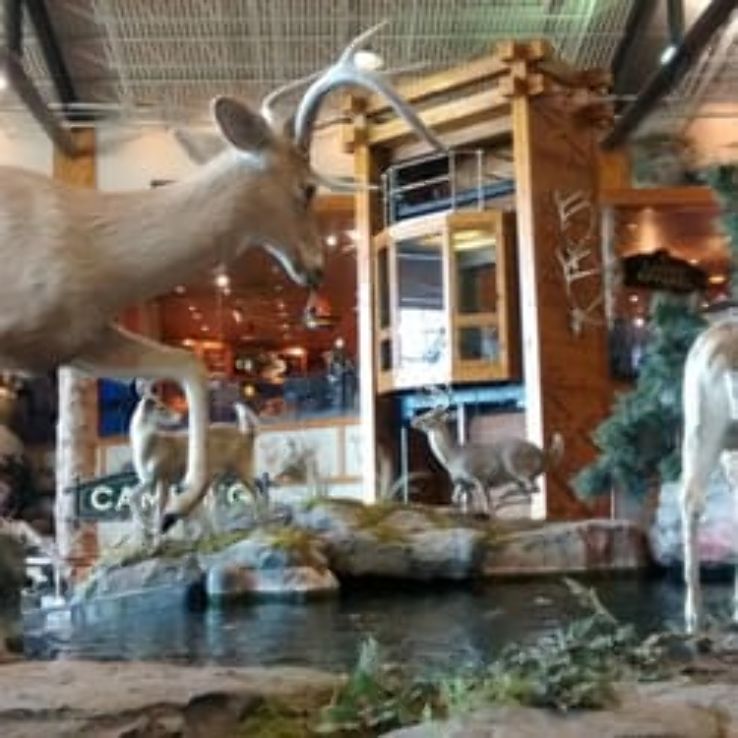 Bass Pro Shops Trip Packages