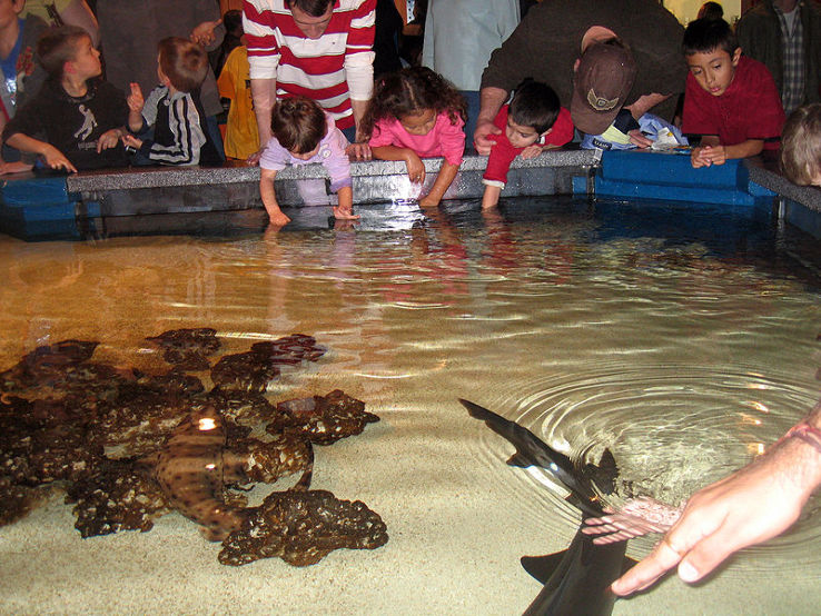 Newport Aquarium Trip Packages