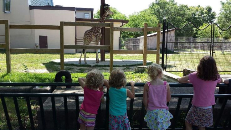 Henry Vilas Zoo Trip Packages