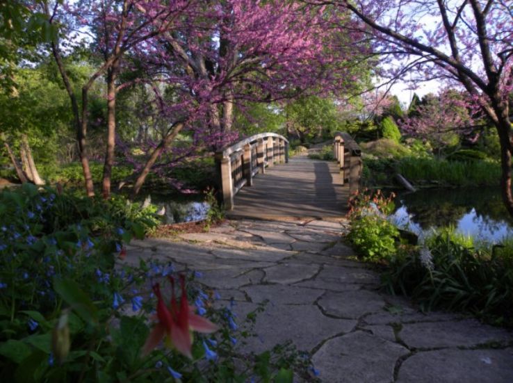 Olbrich Botanical Gardens 2021, #8 top things to do in madison