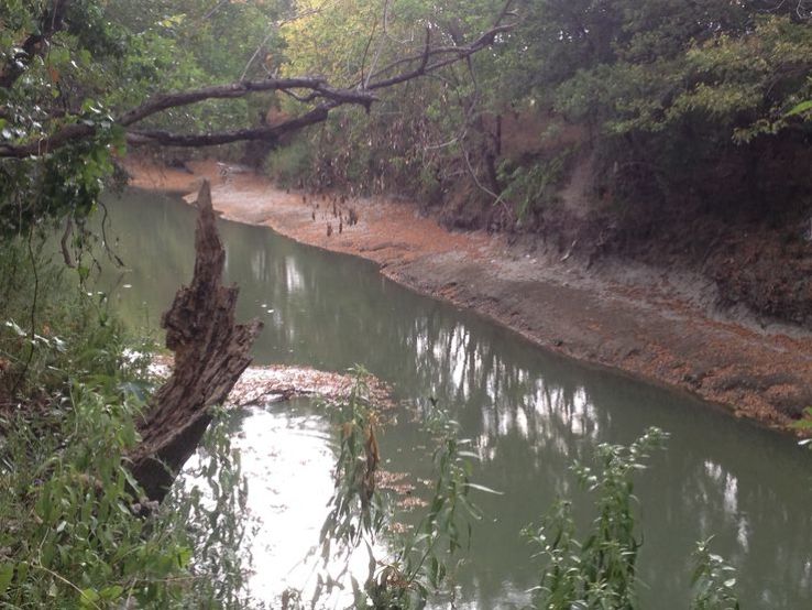 Rowlett Creek Preserve Trip Packages