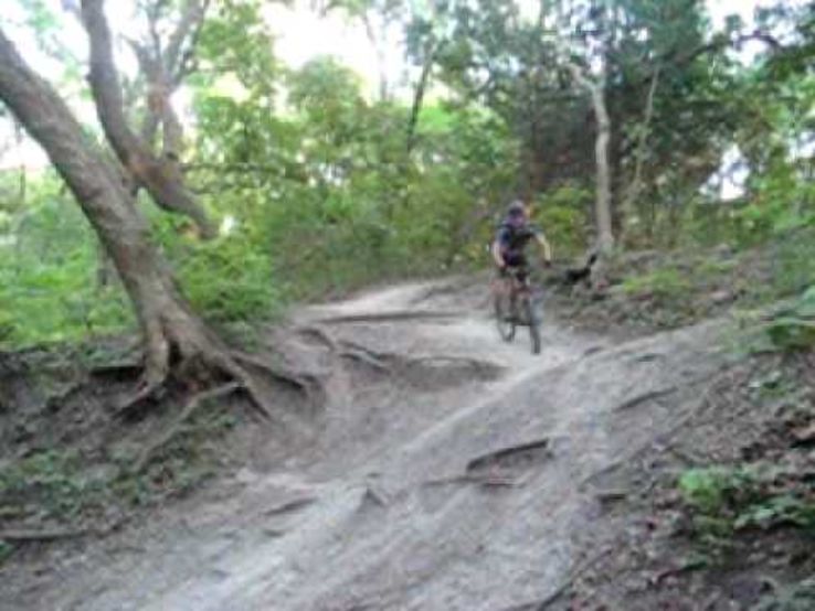 Rowlett Creek Preserve Trip Packages