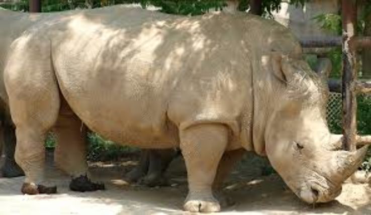 Indianapolis Zoo  Trip Packages