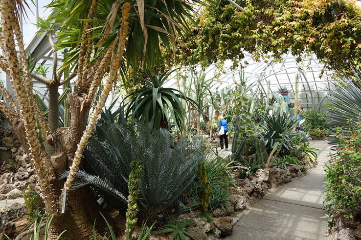 Krohn Conservatory Trip Packages