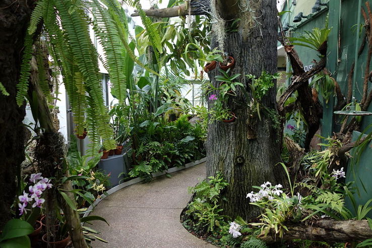 Krohn Conservatory Trip Packages