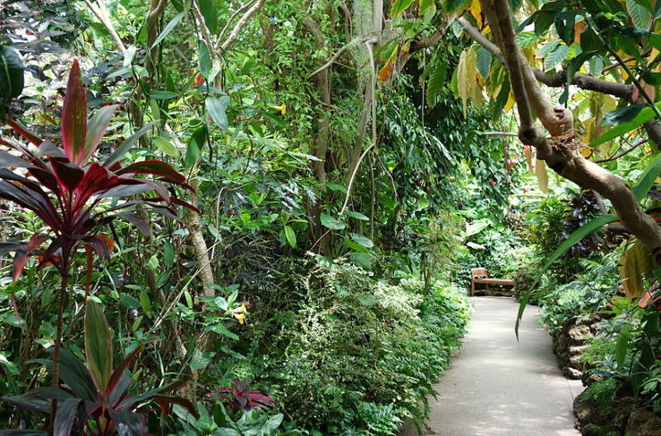 Krohn Conservatory Trip Packages
