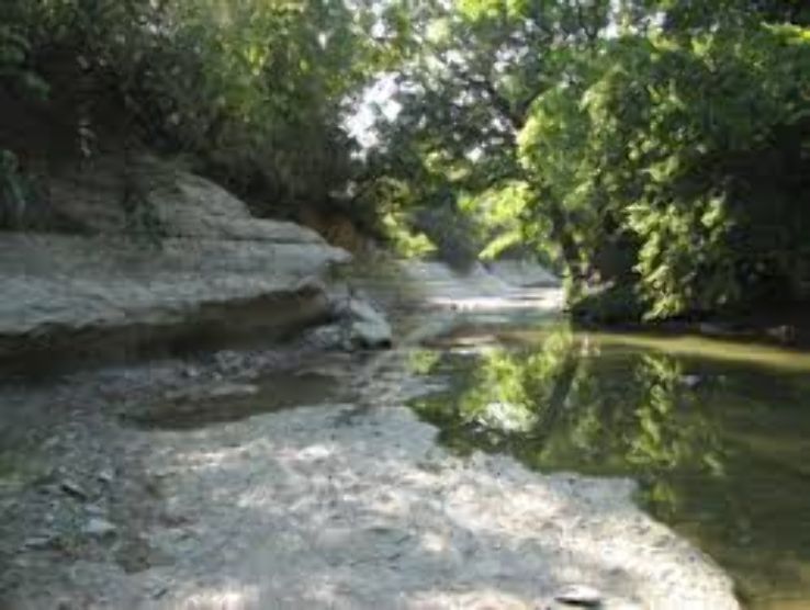 Spring Creek Park Trip Packages