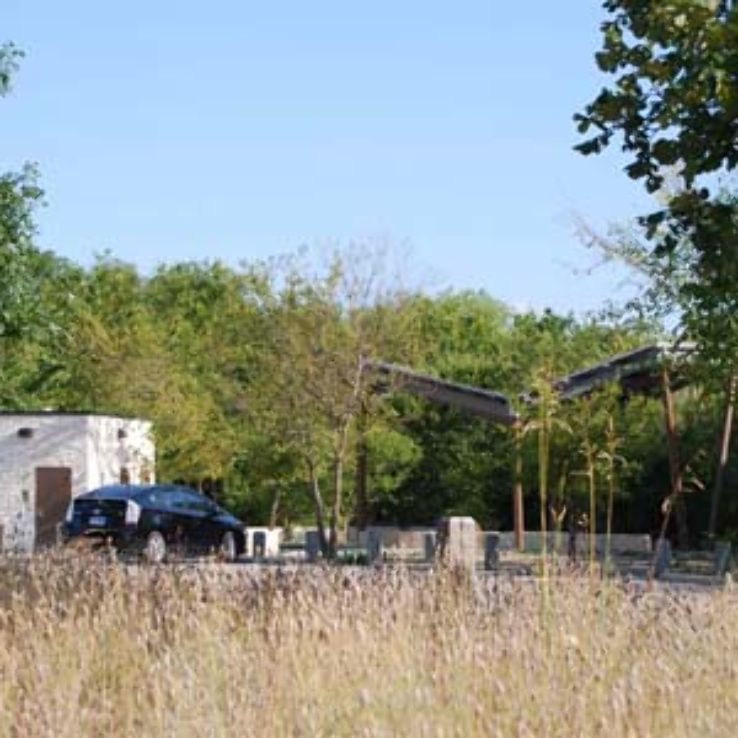 Spring Creek Park Trip Packages