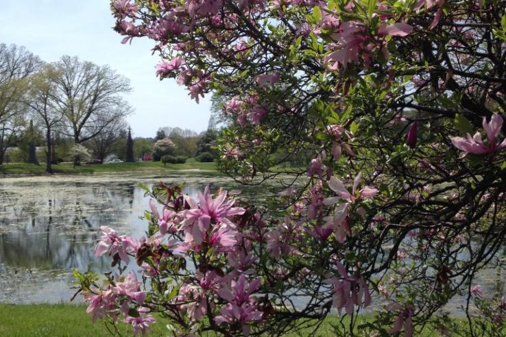 Spring Grove Cemetery Trip Packages