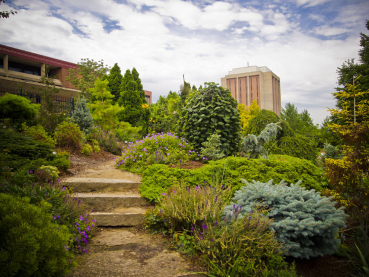 Allen Centennial Gardens Trip Packages
