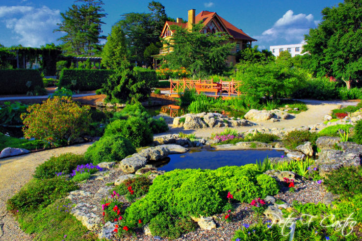 Allen Centennial Gardens Trip Packages