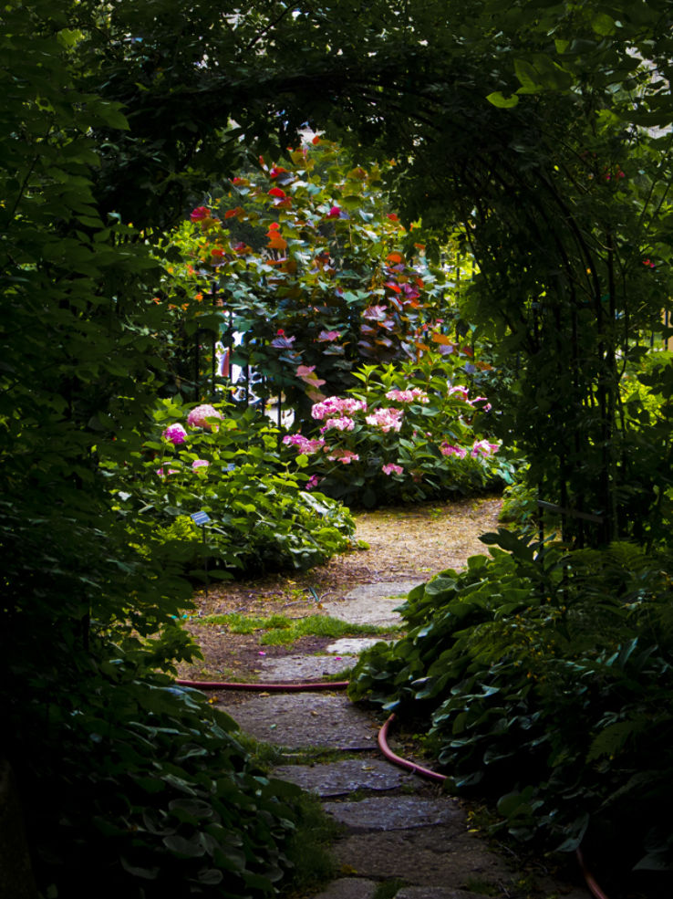 Allen Centennial Gardens Trip Packages