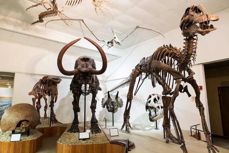 UW Madison Geology Museum Trip Packages