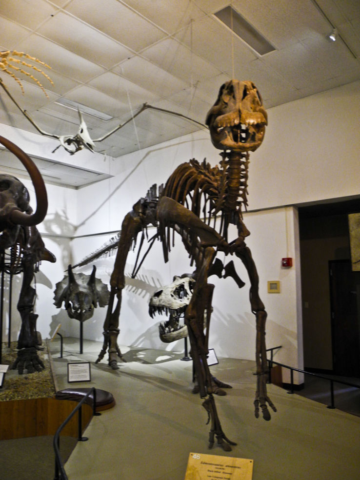 UW Madison Geology Museum Trip Packages