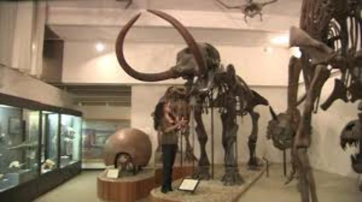 UW Madison Geology Museum Trip Packages